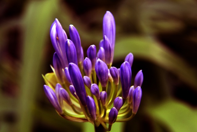 为这项运动 为这项运动